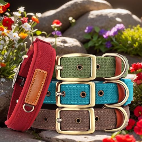 Soft Nylon Dog Collar with Buckle, Adjustable Padded Pet Collar with D-Ring for Small Medium Large Dogs，Red，L - color: Red, size: L:Neck 17.7-21.6"