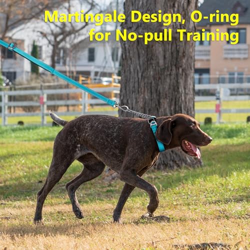 Plutus Pet Martingale Dog Collar with Stainless Steel Chain and Reflective Nylon, Adjustable No Pull Training Collar, for Small Medium, and Large Dogs, Cyan, S - color: Cyan, size: Small