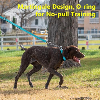 Plutus Pet Martingale Dog Collar with Stainless Steel Chain and Reflective Nylon, Adjustable No Pull Training Collar, for Small Medium, and Large Dogs, Cyan, S - color: Cyan, size: Small