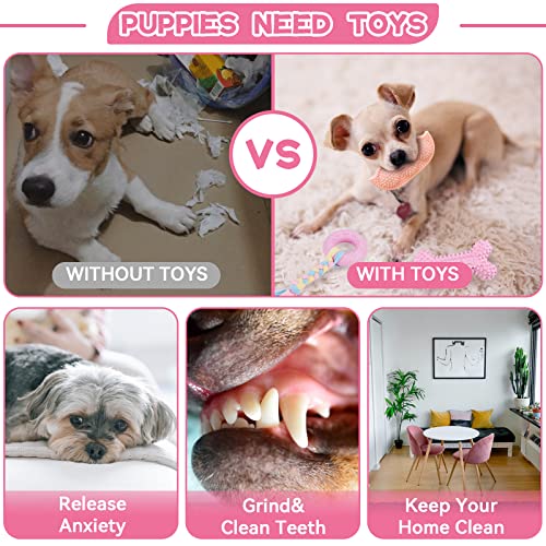 Petcare 6 Pack Puppy Chew Toys for Teething Cute Pink Puppy Toys Small Dog Toys Soft Rubber Rope Dog Toys Funny Bone Ball Cleaning Teeth Dog Chew Toys Puppy Teething Toys for Puppies Yorkie - color: Pink