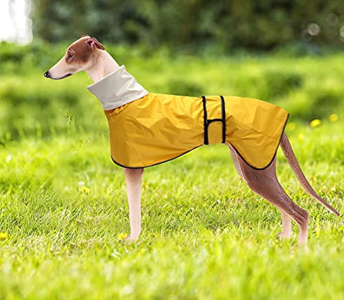 Greyhound Whippet Raincoat Waterproof with Reflective Stripe high Neck fit for Italian Greyhounds Whippets Long Back Breeds - Yellow - M - color: Yellow, size: Medium