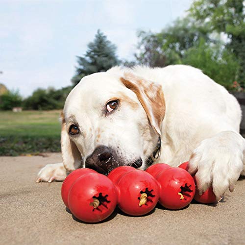 KONG Ring & Goodie Ribbon - Durable Rubber Treat-Dispensing Chew Toy for Dental Health - for Large Dogs - size: Large