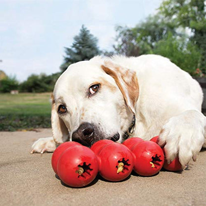 KONG Ring & Goodie Ribbon - Durable Rubber Treat-Dispensing Chew Toy for Dental Health - for Large Dogs - size: Large