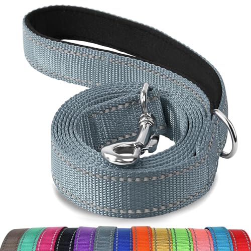 Joytale Dog Leash, 4 FT Double-Sided Reflective, Padded Handle Nylon Heavy Duty Leashes for Medium & Large Dogs Walking, Grey - color: Grey, size: 4 ft Standard