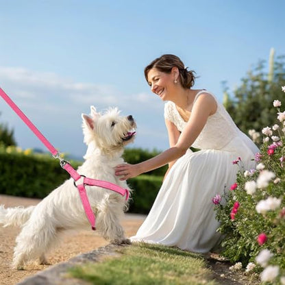 BINGPET Dog Harness Leash Set,Adjustable No Pull Step in Dog Harness,Stylish Denim Puppy Harness for Small and Medium Dogs Easy Walk Training Running(Pink,M) - color: Pink, size: M(Chest Girth:17.3''-23.38'')