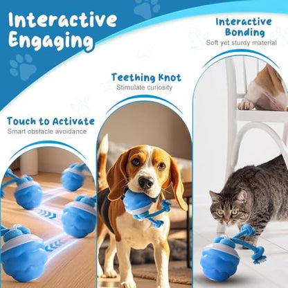 Dog Ball Toy Tail 2.0 Dog Toy, 2025 New Smart Interactive Cats Toys Ball, Squeaky Toy Electric Automatic Rolling Moving Pet Toy Balls with Rope for Cats and Medium Small Dogs Puppy (Blue, 2pcs) - color: Blue, size: 2pcs