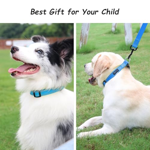 Wagtime Club Reflective Dog Collar with Buckle Quick Release Adjustable Nylon Collar for Small Medium Large Dogs (Medium, Bright Blue) - color: Blue, size: m