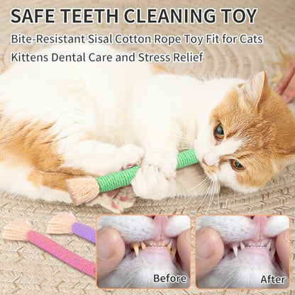 Retro Shaw Cat Toys Chew Ropes with Catnip, 6 Pack, Safe Teeth Cleaning Kitten Toys for Indoor Cats Kitty, Cat Nip Kicker Interactive Pet Toys 6.1 Inches - size: 6.1 in