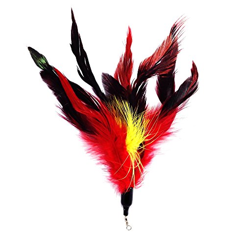 Pet Fit for Life Multi Piece Replacement Feathers Pack Plus Bonus Soft Furry Tail for Interactive Cat and Kitten Toy Wands… - style: 5 Feathers, 1 Tail