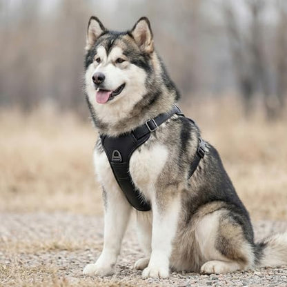CANAGAN Premium Vegan Leather Dog Harness – Adjustable No Pull Vest for Extra Large Dogs, Heavy Duty, Durable Zinc Alloy Buckles, Dual Leash Clips & Handle – Daily Walks & Outdoor Use – Black - size: XL: Chest(27" - 38")