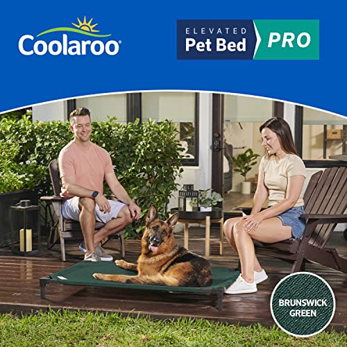 Coolaroo Pro Elevated Dog Bed - Low-Profile Access, Moisture-Resistant Cover, Breathable Fabric & Tool-Free Setup, Brunswick Green, Standard - color: Brunswick Green, size: Standard