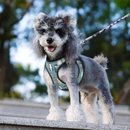 Otters Pet Harness Escape Proof Dog Harness Adjustable Mesh Padded Reflective Dog Vest Harness and Leash Set Small - color: Style 3, size: Small