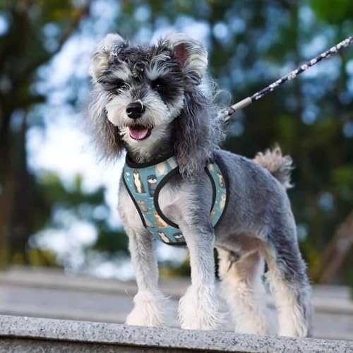 Otters Pet Harness Escape Proof Dog Harness Adjustable Mesh Padded Reflective Dog Vest Harness and Leash Set Medium - color: Style 3, size: Medium