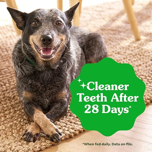 Greenies Veterinarian-Recommended Adult Natural Dental Dog Treats Large Size, Dog Dental Chews, Original Flavor, 12 oz. Pack, 8 Count - size: 8 Count (Pack of 1)