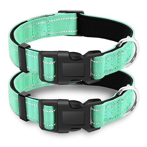 2 Pack Reflective Dog Collar with Safety Locking Buckle, Adjustable Soft Breathable Comfortable Nylon Pet Collar for Small, Medium and Large Dogs, Turquoise, XS - color: A-Turquoise(2 Collars), size: X-Small (Width 5/8")