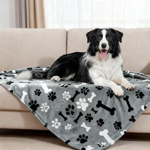 Rezutan Dog Blankets for Small ＆ Medium Dogs Cat Super Soft Warm Fluffy Blankets Washable,Comfort Flannel Print,Fuzzy Soft Pet Blanket,Paw & Bone,Suitable for Dog's Beds,Grey,40 x 31 inch - color: Grey-bone, size: 40x30 inch