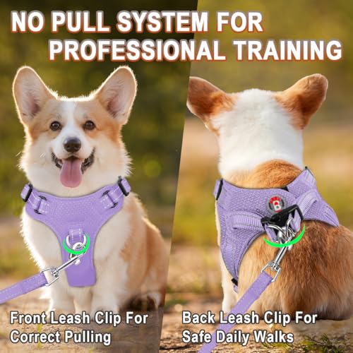 BARKBAY Dog Harness, Reflective Adjustable Puppy No Pull Harness, Breathable Soft for Small and Medium Dogs, Violet Purple, XXS - color: Violet Purple, size: XX-Small