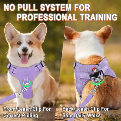 BARKBAY Dog Harness, Reflective Adjustable Puppy No Pull Harness, Breathable Soft for Small and Medium Dogs, Violet Purple, XXS - color: Violet Purple, size: XX-Small