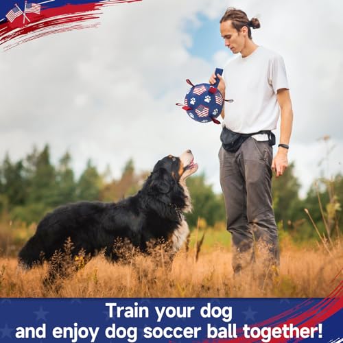 QDAN Dog Toys, Soccer Ball with Straps, Durable Dogs Balls for Extra Large Breeds, Beach Pool Water Toy, Dog Birthday Gifts, Herding Balls (9 Inch) - color: Flag, size: 9 Inch
