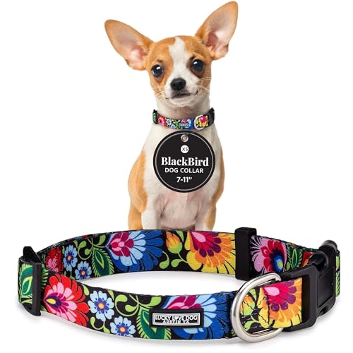 Lucky Love Dog - Adjustable Dog Collar with Easy Click Buckle for Small Ones, Durable, & Comfortable for Male & Female Dogs, Pet Collar for Puppies & Adult Dogs - Blackbird, X-Small - color: Blackbird Collar Only, size: X-Small | 7-11"