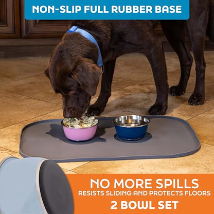 Master Pet Supply Stainless Steel Dog Bowls Set of 2 (16 Oz Each) with Non-Slip Rubber Base - Glacier Blue - Basic Dog Food Bowl Water & Food Bowls for Small Medium Large Dogs & Cats, Metal Dish - color: Glacier Blue, size: 2 Cups (16 oz) 2 Pack