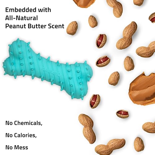 Playology Dog Toys | Teething Bone for Large Puppies and Young Dogs | Peanut Butter Scented Jumbo Dog Bone Chew Toy | Teething Puppy Essentials - size: Jumbo, style: Peanut Butter