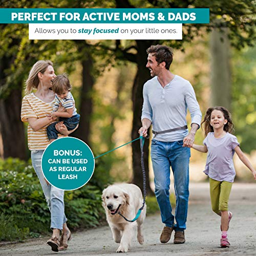 Tuff Mutt Hands-Free Waist Leash for Dog Walking, Running and Hiking, Carabiner Clip, Adjustable Belt with Double Handle, Reflective Bungee Design for Large & Medium Dogs - color: Carabiner/Green