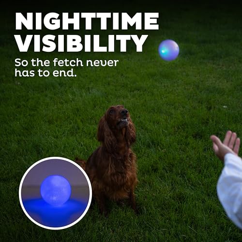 Outward Hound by Planet Dog Strobe Light Up LED Ball Dog Toy, Blue - color: Blue Strobe Toy