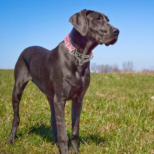 Reflective Martingale Dog Collar with Soft Padded,Adjustable Heavy Duty Choke Steel Chain Big Dog Training, Walking, Hunting Collar for All Breeds (Pink Flowers L) - color: 2, size: L(Neck15"-22")