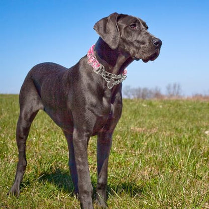 Reflective Martingale Dog Collar with Soft Padded,Adjustable Heavy Duty Choke Steel Chain Big Dog Training, Walking, Hunting Collar for All Breeds (Pink Flowers XL) - color: 2, size: XL(Neck21"-27")