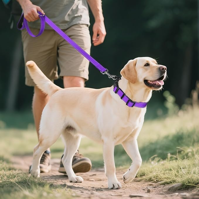 Reflective Dog Collar,Soft Neoprene Padded Breathable Nylon Pet Collar Adjustable for Large Dogs,Purple, L - color: Purple