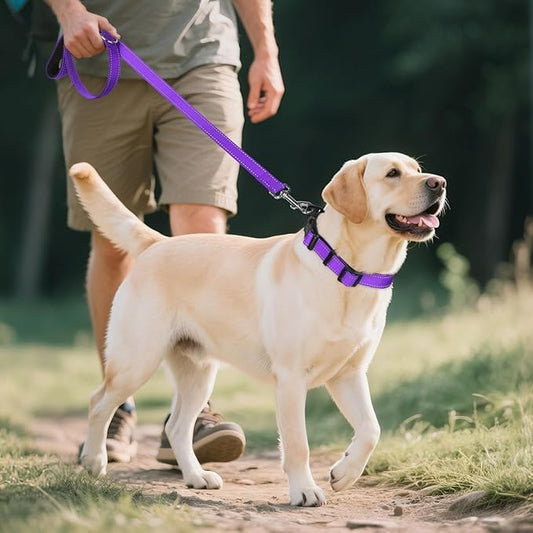 Reflective Dog Collar,Soft Neoprene Padded Breathable Nylon Pet Collar Adjustable for Large Dogs,Purple, L - color: Purple