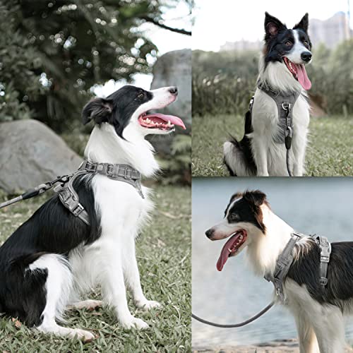 PoyPet No Pull Dog Harness and 5 Feet Leash Set, Release on Neck Reflective Adjustable Pet Vest, Front & Back 2 D-Ring and Soft Padded Pet Harness with Handle for Small to Large Dogs(Grey,S) - color: Grey, size: S
