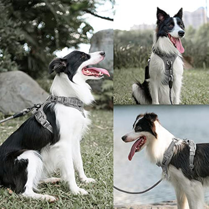 PoyPet No Pull Dog Harness and 5 Feet Leash Set, Release on Neck Reflective Adjustable Pet Vest, Front & Back 2 D-Ring and Soft Padded Pet Harness with Handle for Small to Large Dogs(Grey,S) - color: Grey, size: S