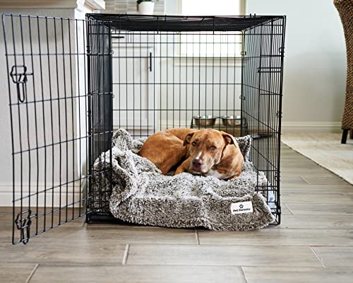 Pet Parents Premium CAT, Puppy and Dog Blanket, Chocolate, Medium - color: Chocolate, size: 32"x40"