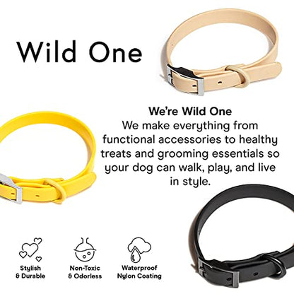 Wild One Dog Collar, Easy-Clean, All Weather Flex-Poly Strap with Metal, Durable, Dirt and Odor Resistant (Black, XS) - color: Black, size: XS