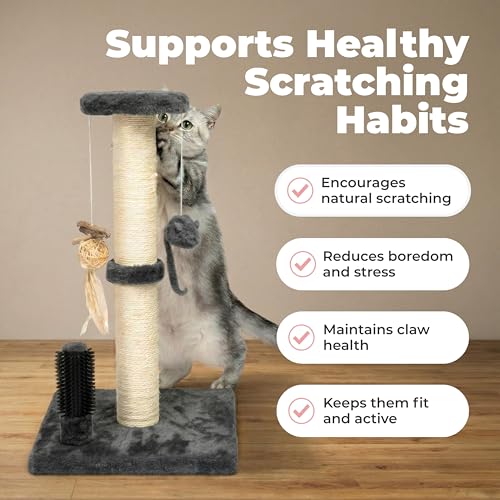 Best Pet Supplies Catify Cat Scratcher, Fun Interactive Scratchers, Posts, Poles, Claw Safe, Furniture Saver Indoor Play Support Natural Cat Behaviors Heavy Duty - Gray, 15.71 x 15.71 - color: Scratching Post (Gray) H: 16"