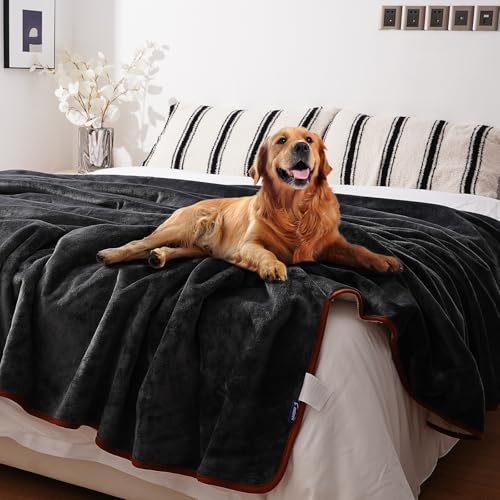 Sunsleek Bed Blanket Waterproof Sherpa Fleece Blanket for Sofa Couch Travel, Cozy Throw Blanket for Small Dog and Cat, Furniture Protector (Grey, 60x80 inches) - color: Deep Grey, size: M(60*80")