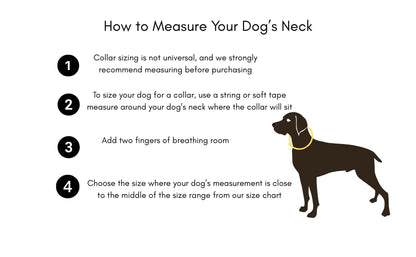 Heavy Duty Waterproof No Smell Dog Collar, Stronger Than Leather, for Active Dogs, Bathing, Dog Parks, Beach, Lake, Trails, Easy on Skin & Fur (Pink/Purple, Large) - color: Pink/Purple, size: Large