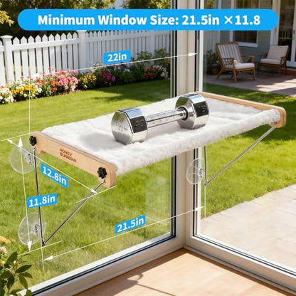 HoneyGuardian Cat Window Prech,Metal Support from Below with 4 Suction Cups, pet Bed, cat Window Hammock for Large Cats and Kittens - size: Basic