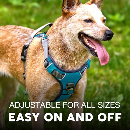 Embark Adventure Dog Harness for Small, Medium & Large Dogs – No Pull, Reflective Trim, Military Grade Nylon, 2 Leash Clips, Gel-Lined Handle, Soft Padded - color: Blue, size: XS