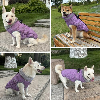 Dog Coat, Reflective Dog Jacket Waterproof Windproof Puppy Cold Weather Coats with Harness Built in, Winter Extra Warm Pet Coat Fleece Vest for Small Large Pets and Puppy (Purple, Medium)
