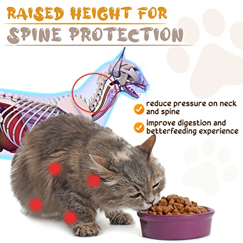 Roshtia 4 Sets Elevated Cat Bowls Ceramic Raised Cat Food Bowls with Metal Stand Dishwasher Safe Dishes Non Slip Elevated Food Plate(Black,Paw) - color: Black