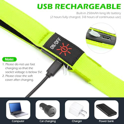 LED Dog Leash Light Up 4 Feet Micro USB Rechargeable Nylon Webbing Glow Safety Standard by Bpawser (Green) - color: Green, size: 4 Feet