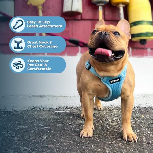 Best Pet Supplies Voyager Adjustable Step-In Flex Breathable Mesh Dog Harness for Small Medium Large Dogs (Baby Blue), S - color: Harness (Baby Blue), size: S