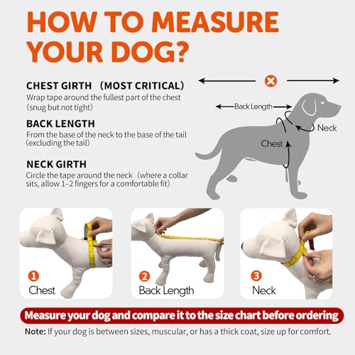 FOFOS Dog Winter Coat, Plush Dog Jacket with Leash Hole, Adjustable Warm Pet Snow Vest for Small Medium Dogs, Gray, L - color: Gray, size: Large