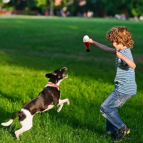 Natural Coffee Wood Dog Toy - Cooling Freezable TPR Teething Chew & Treat Dispensing Enrichment Toy - Sustainable for Small Medium Large Breeds (Red) - color: Red