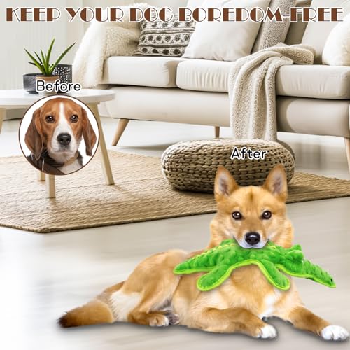 No Stuffing Dog Squeak Toys- Chew Toys for Small Medium Large Breed- Durable Puppy Teething Interactive to Keep Them Busy- Best Birthday Gift(Crocodile) - color: Green