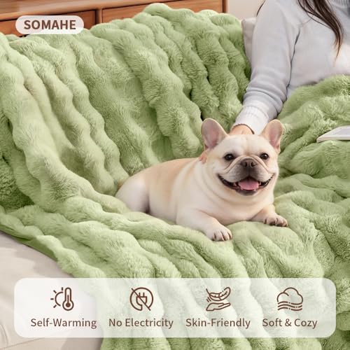 Pet Blanket, Reversible Sherpa & Bubble Fleece Pet Throw, Ultra-Soft Plush for Cats & Small Dogs, Machine Washable, Anti-Static, Warm & Cozy,28"×22" Inch Green - color: Green, size: 28"L x 22"W Inches