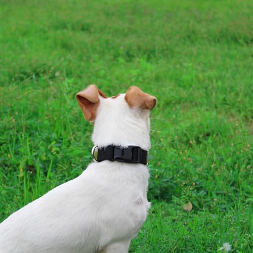 Mikivery Nylon Dog Collar with Quick Release Buckle Soft Adjustable Sturdy for Small Medium Large Dogs Black,L - color: Black, size: L：17.5"-25.5"